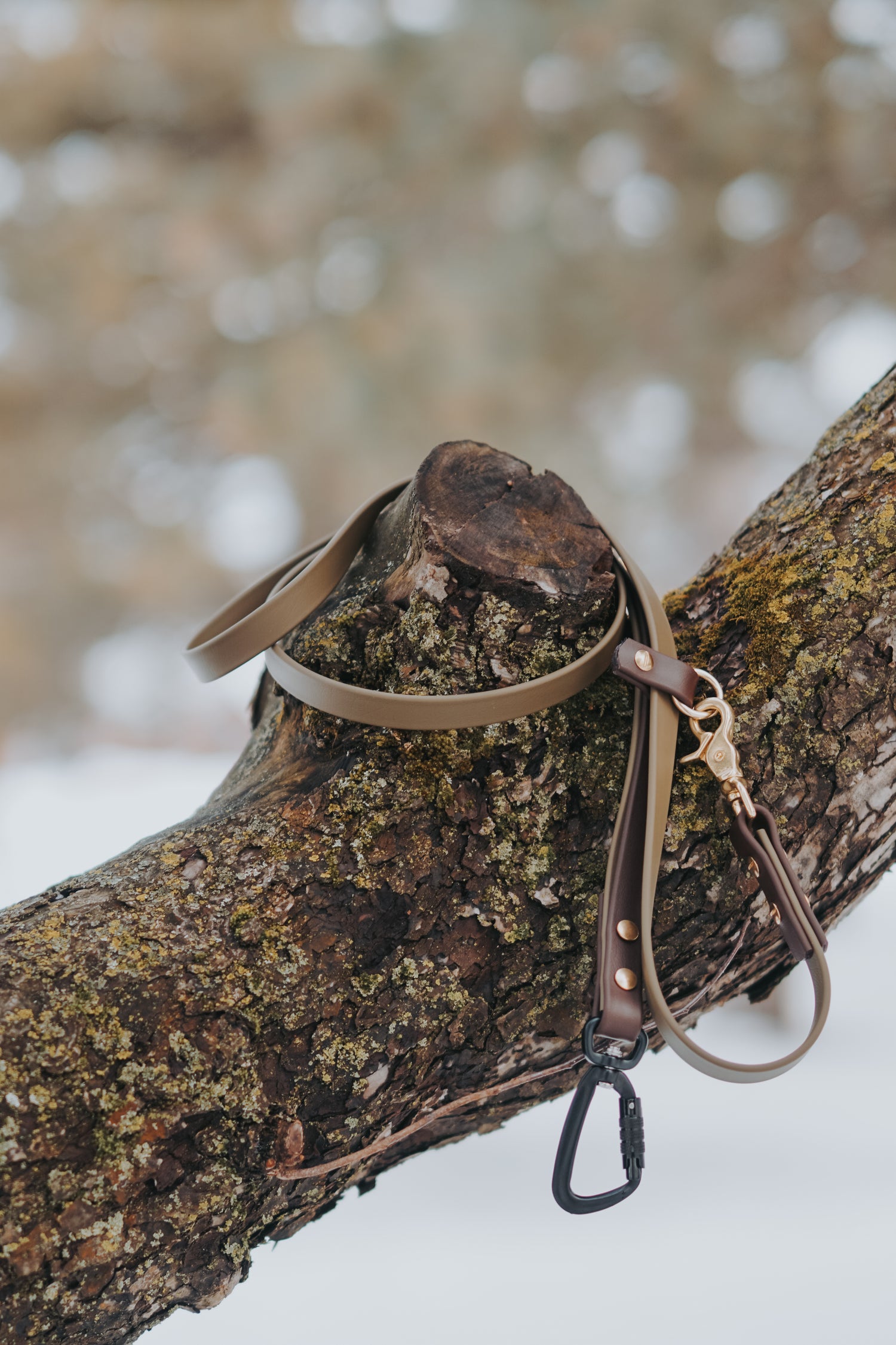7ft Hands-Free Leash