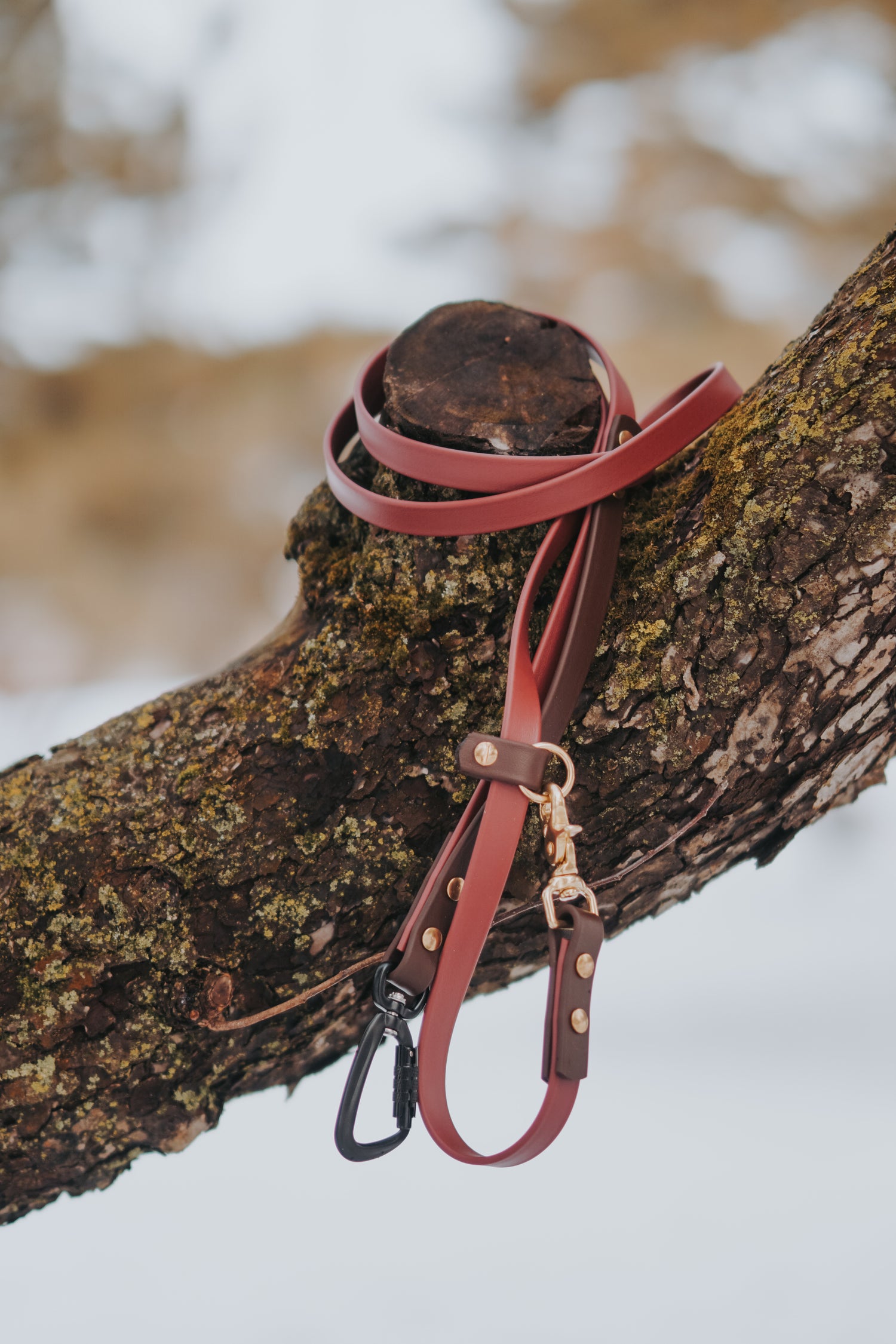 8ft Hands-Free Leash