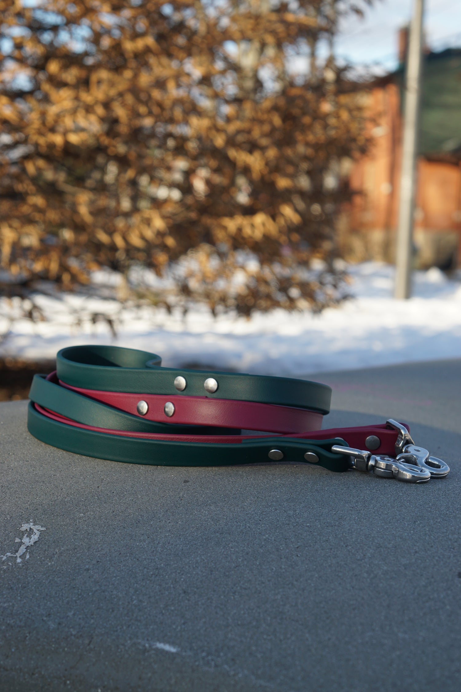 5ft Every Day Leash