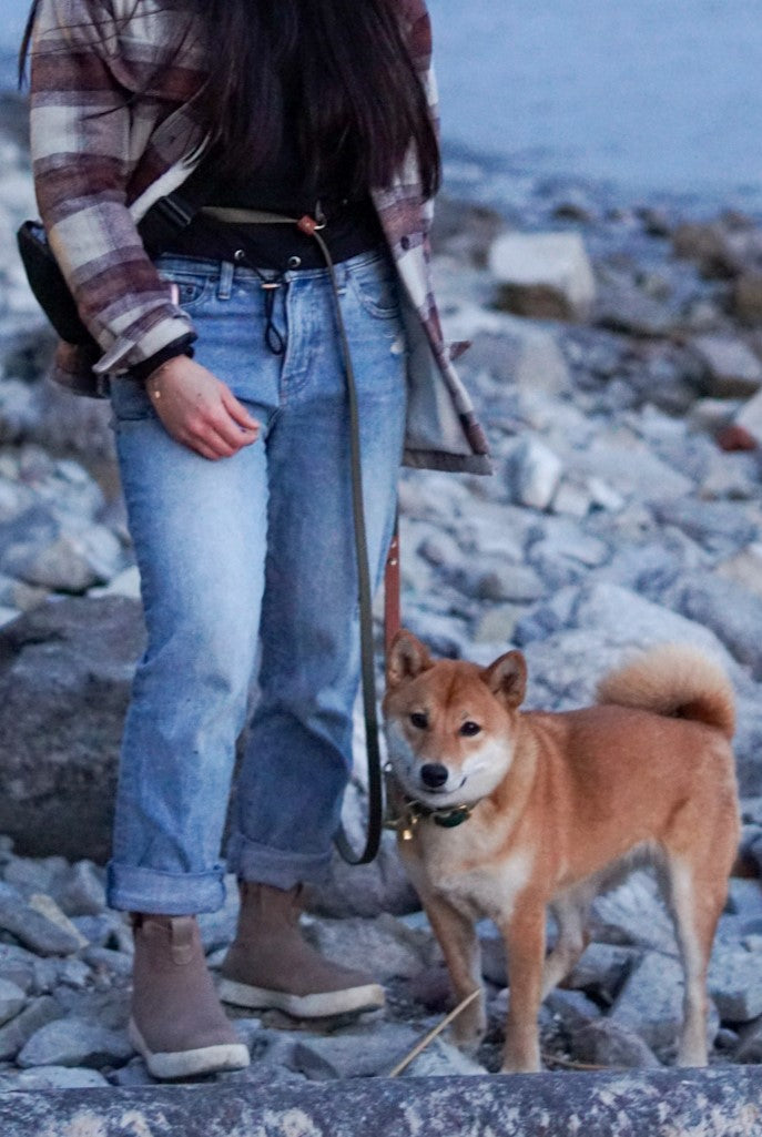 7ft Hands-Free Leash