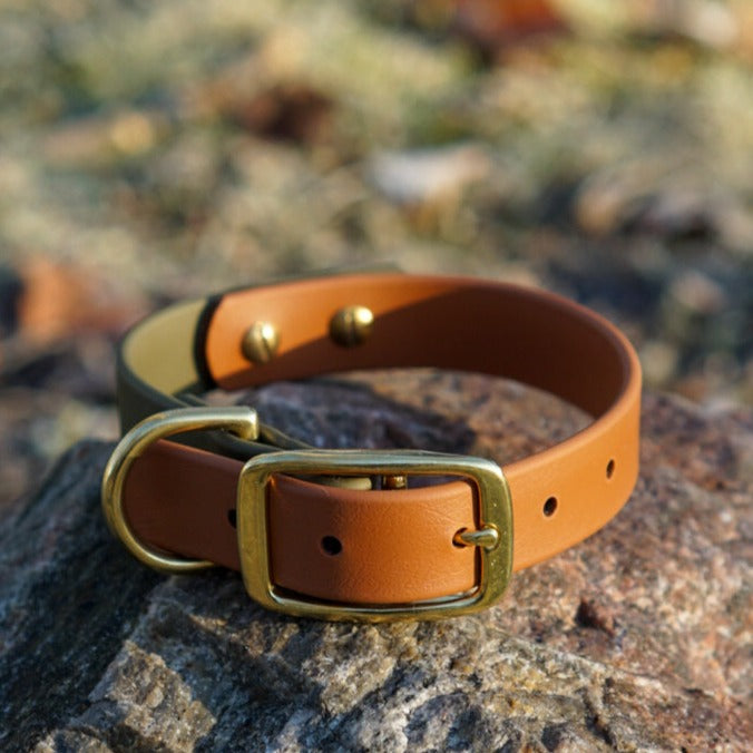 Two-Tone Olive and Tan Biothane 1