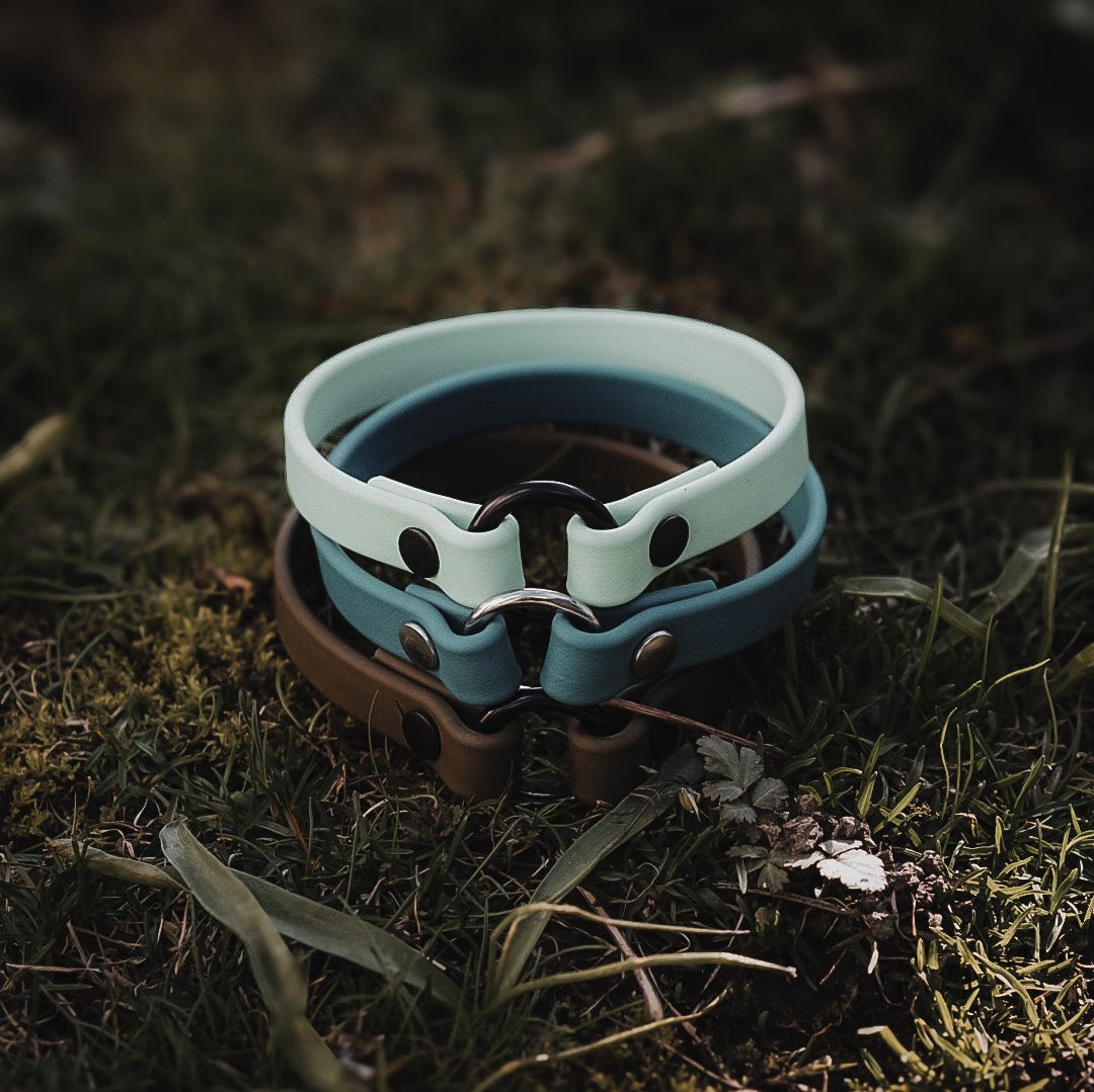 I.D Collar
