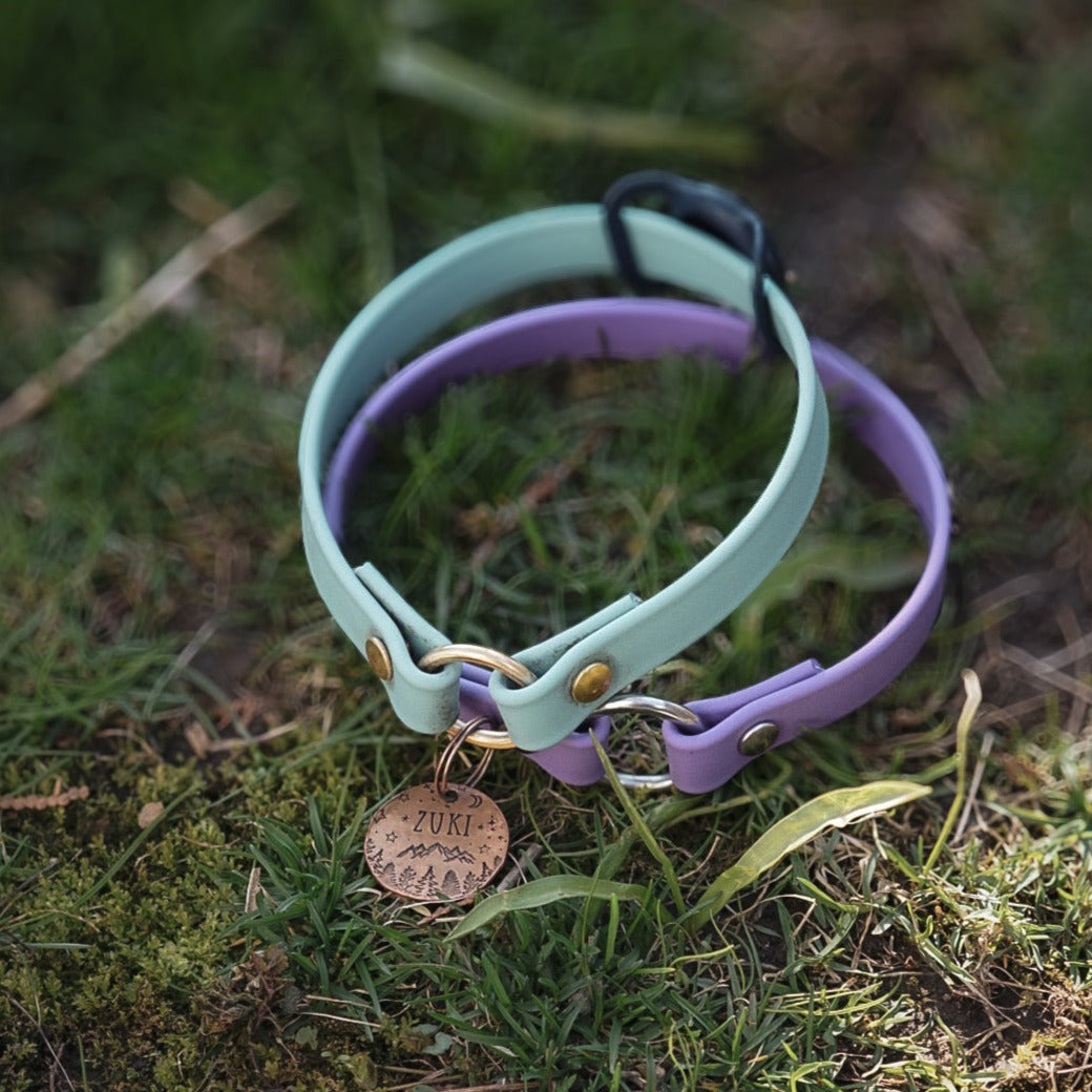 I.D Collar