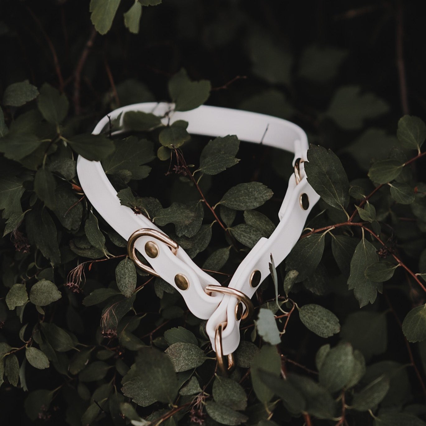 Limited Slip Collar