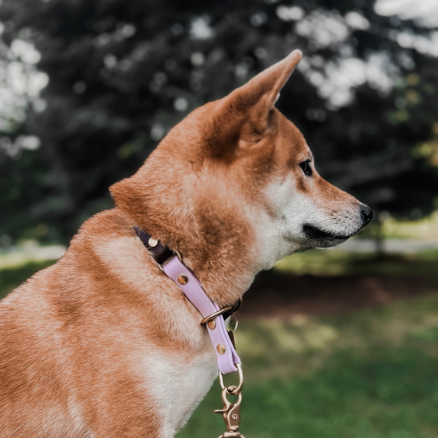 Limited Slip Collar