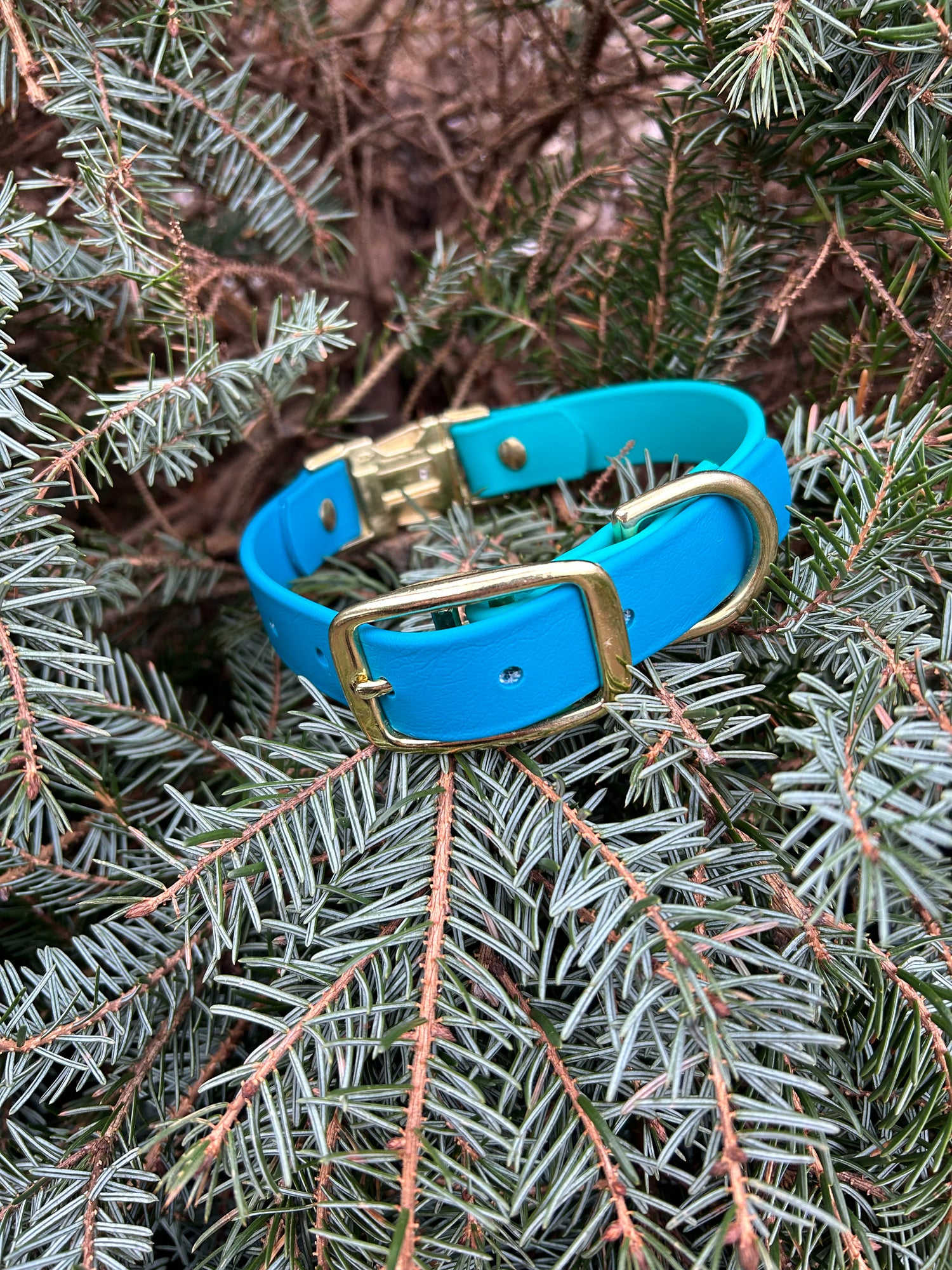 Adjustable Quick Release Collar