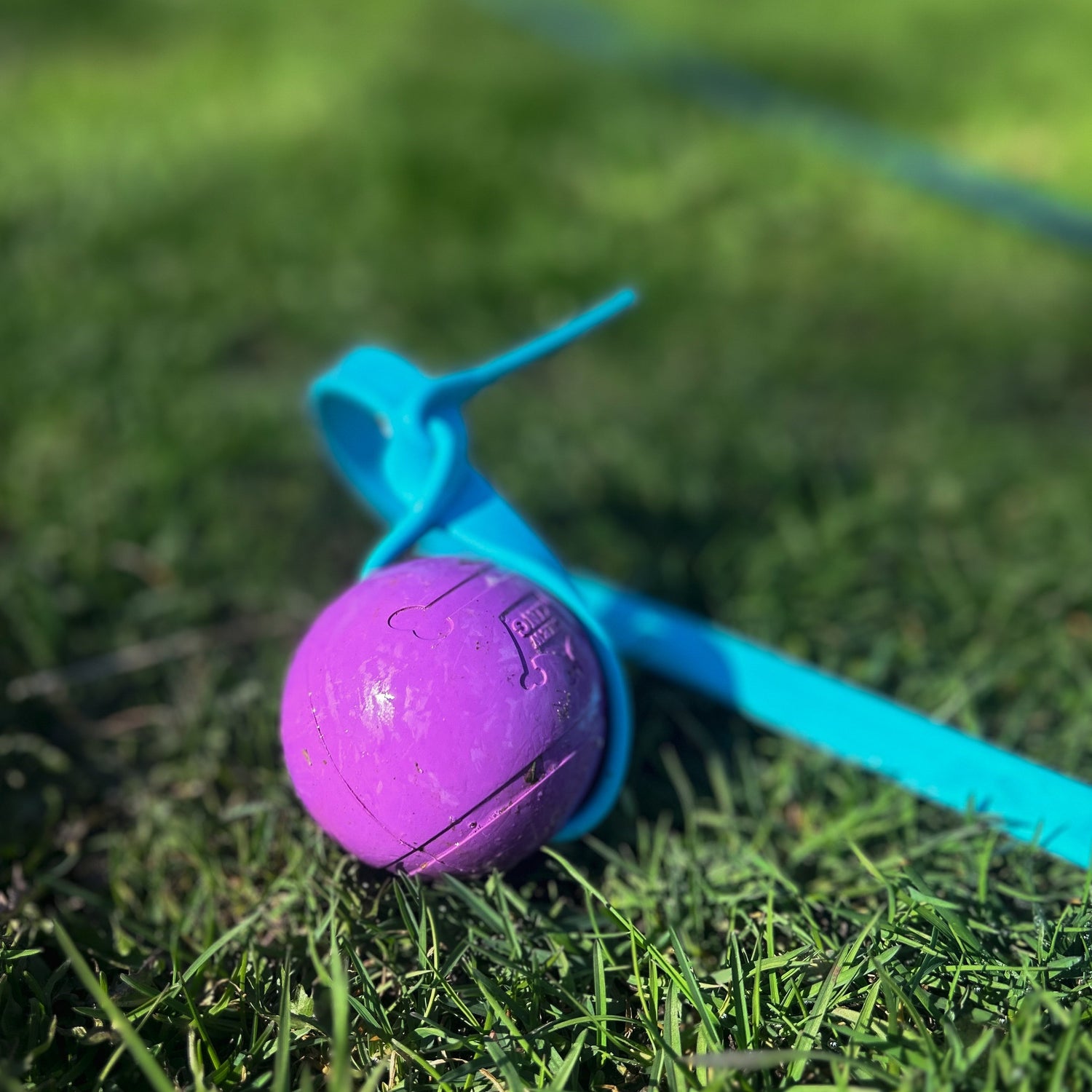 Line Ball Tug