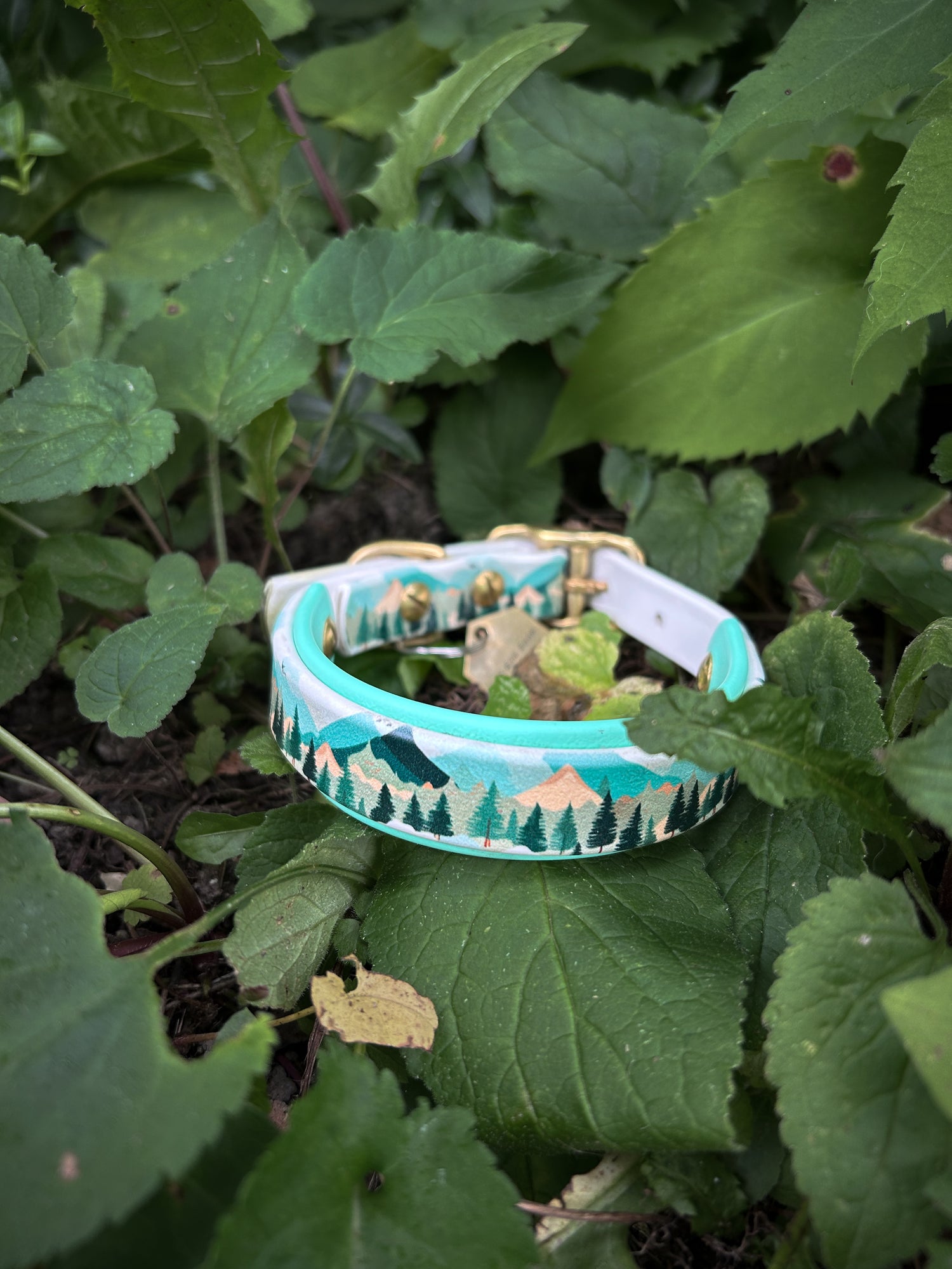 Collier réglable à dégagement rapide de 3/4 po