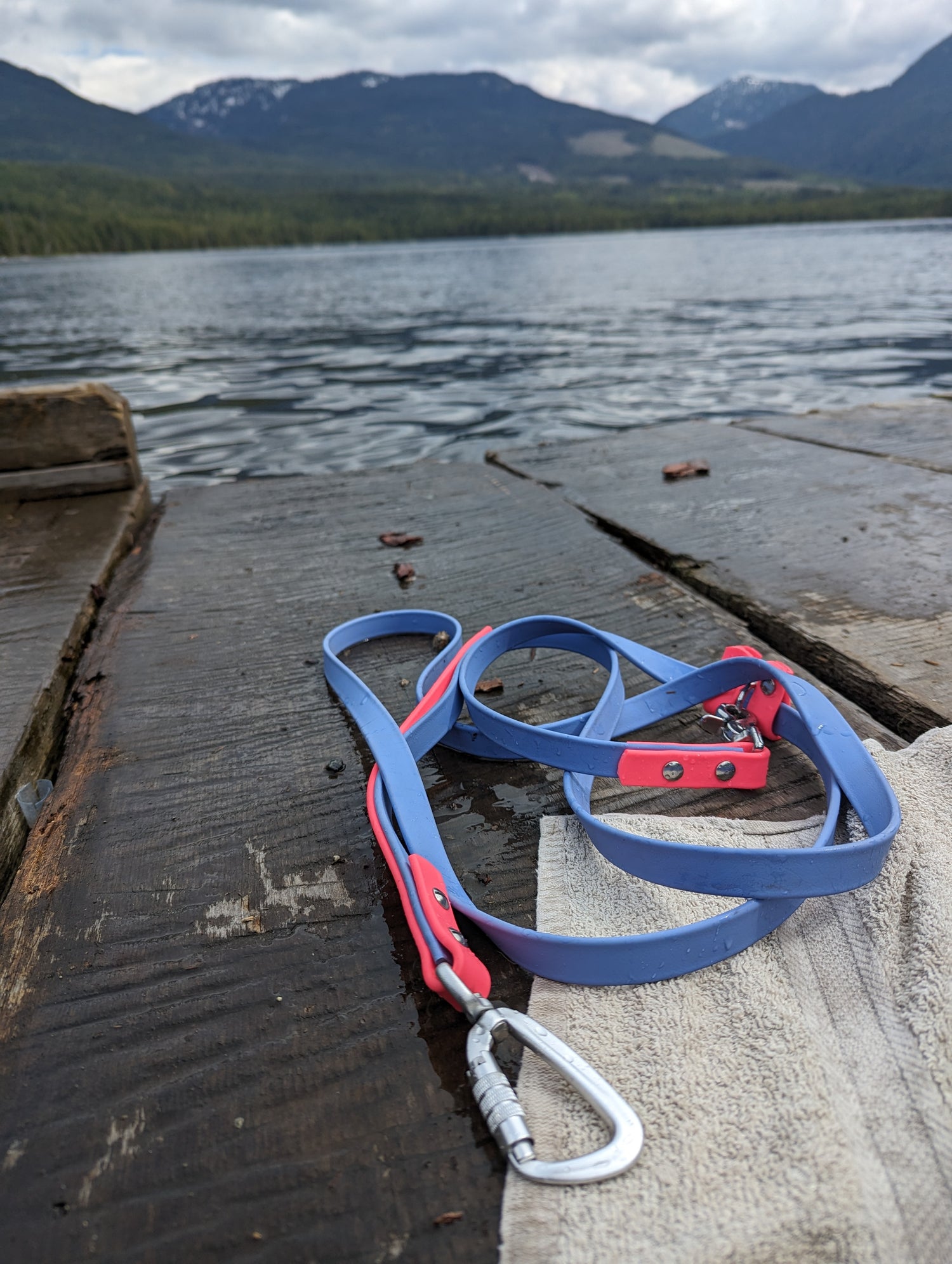 7ft Hands-Free Leash