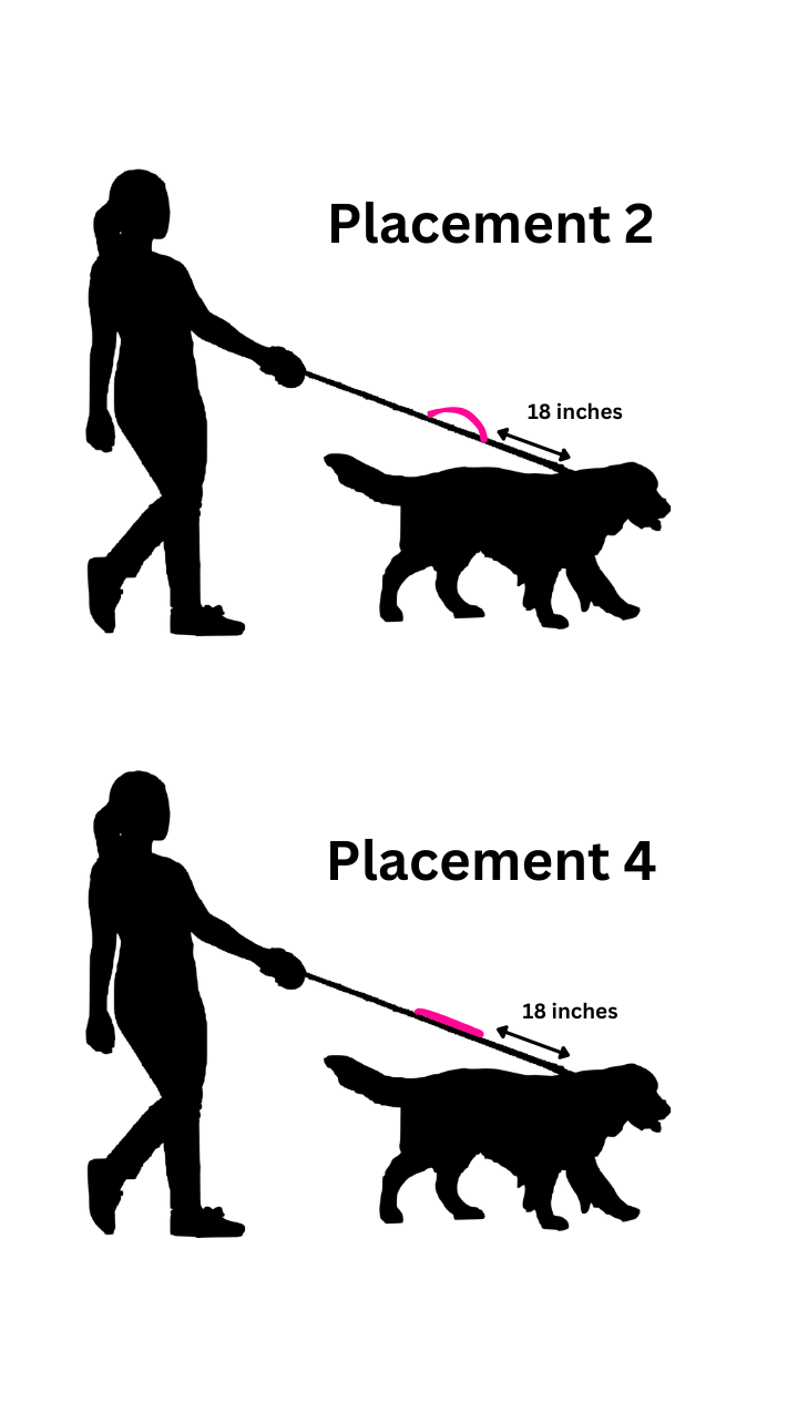 Grip Leash