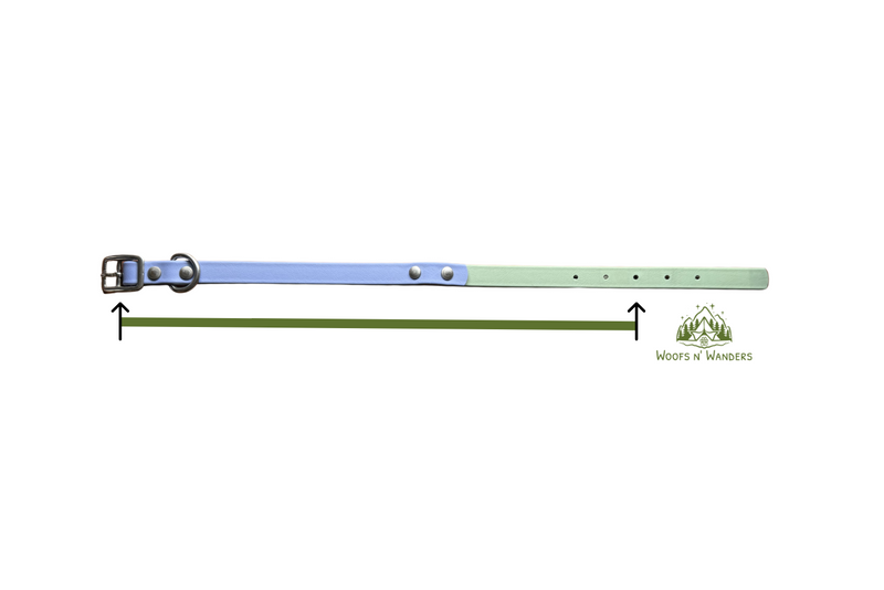 Buckle collar measurement guide