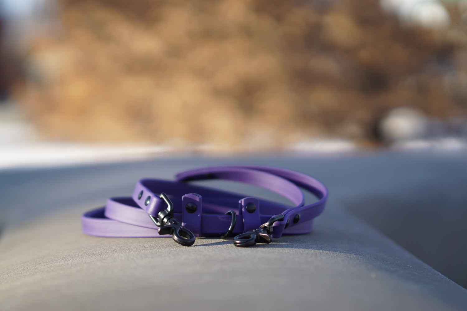 Hands-Free Leash