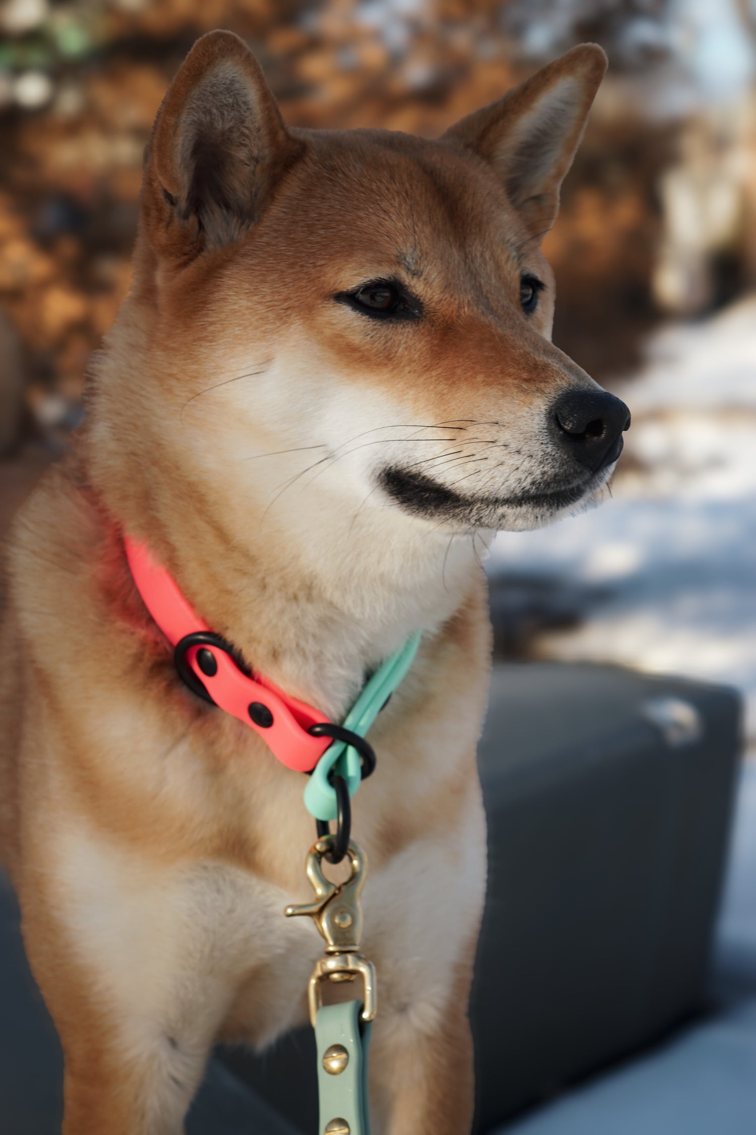 Slip Collar
