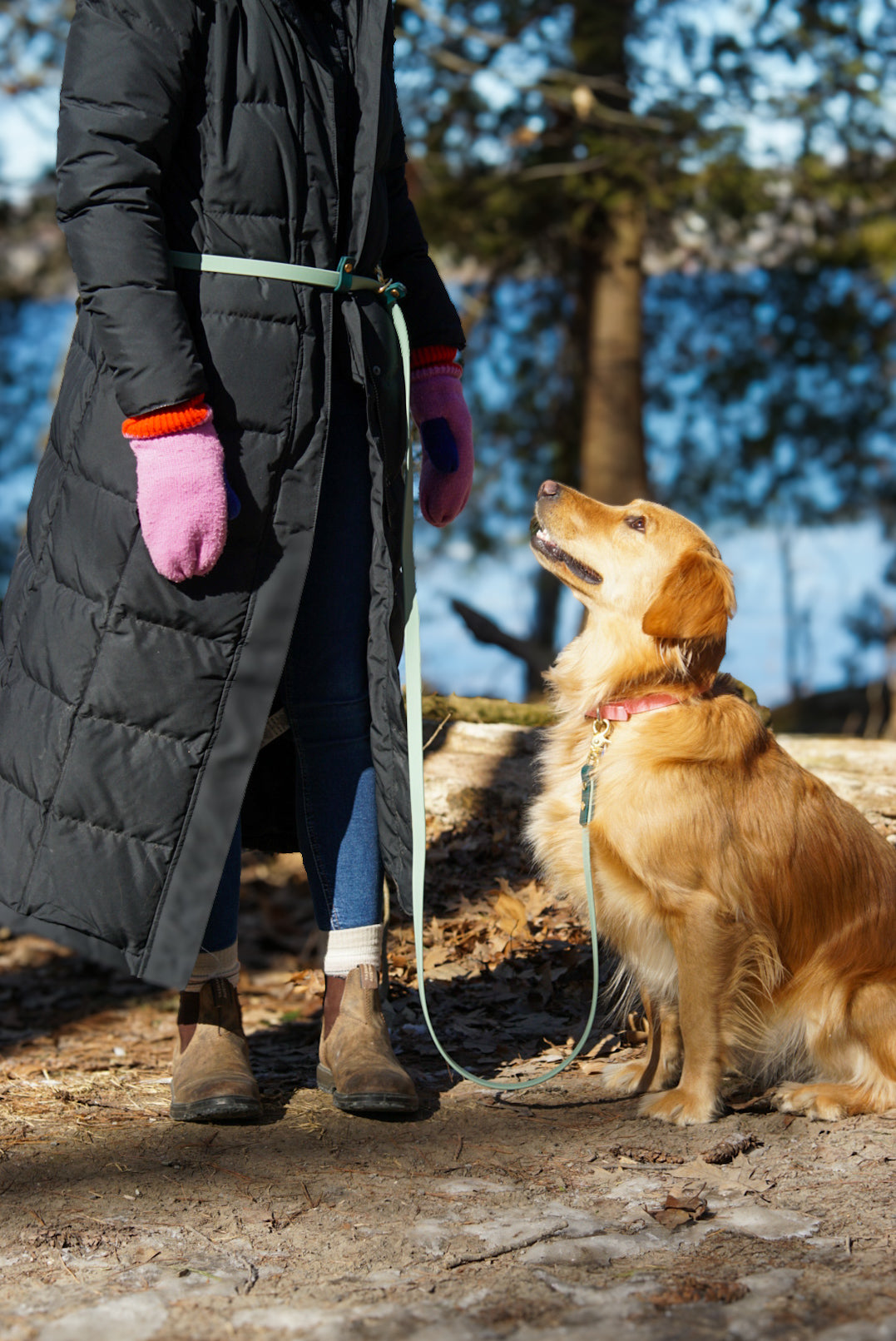 Hands-Free Leash