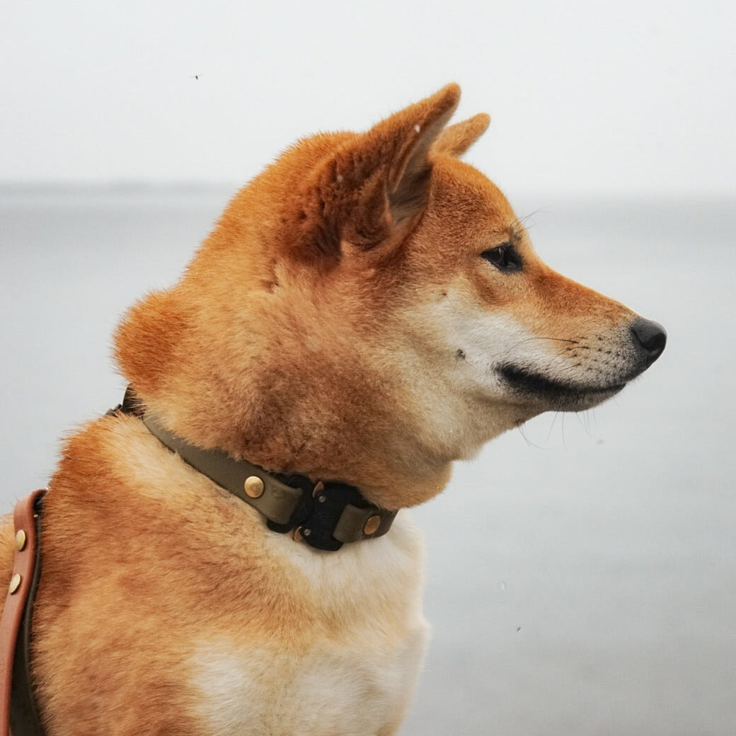 Adjustable Quick Release Collar