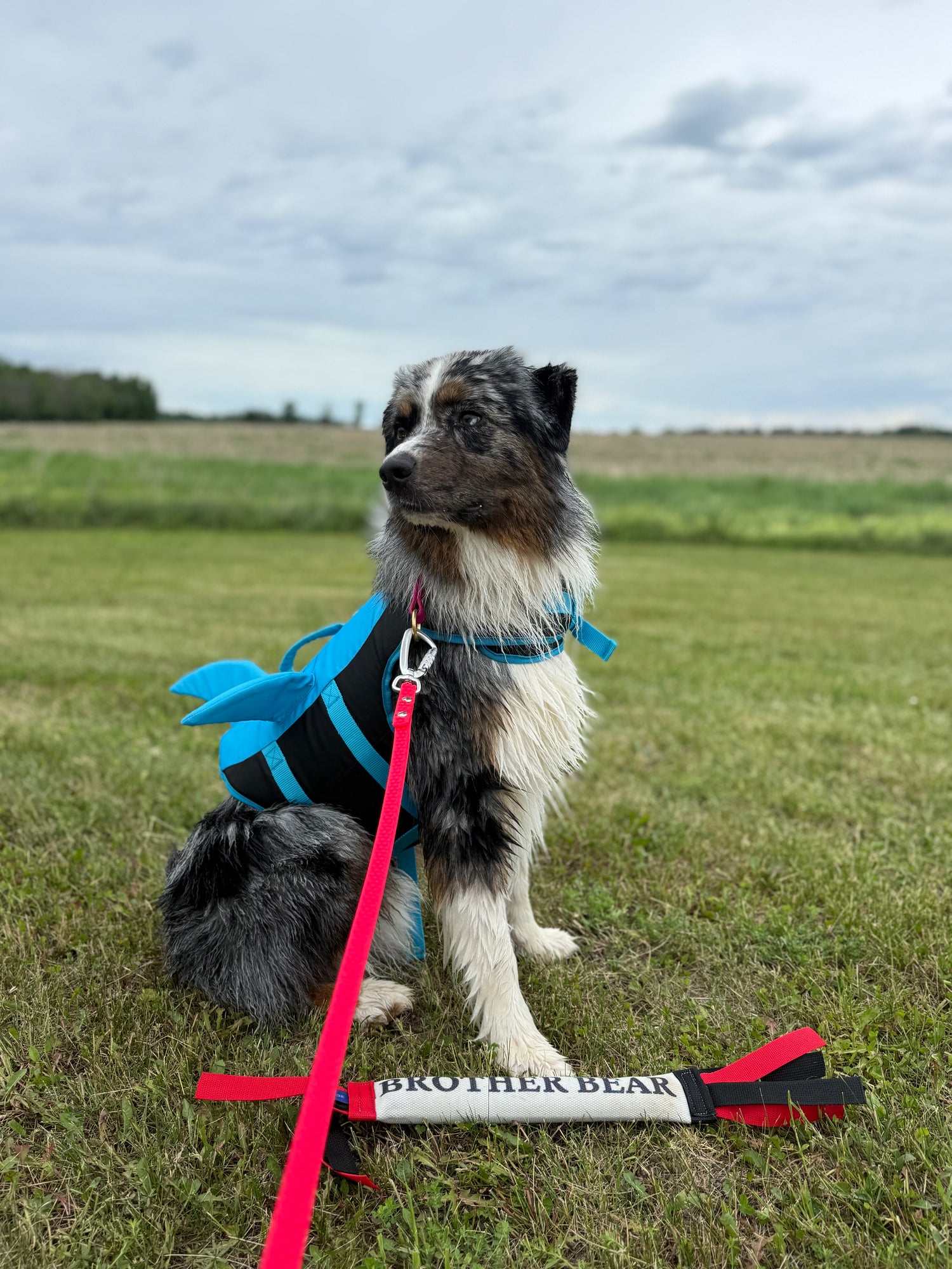 Grip Leash