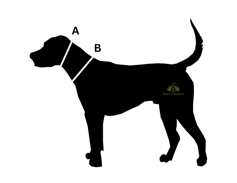 Dog head and neck measurement guide